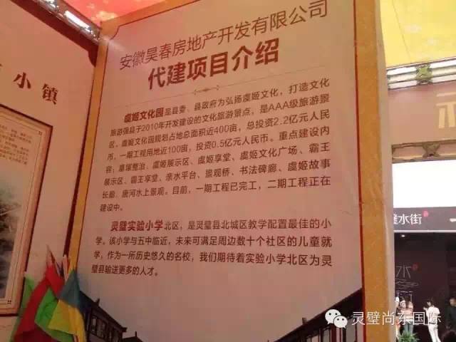 她为什么这样火？——解析尚东国际房展会“围攻”现象(图3)