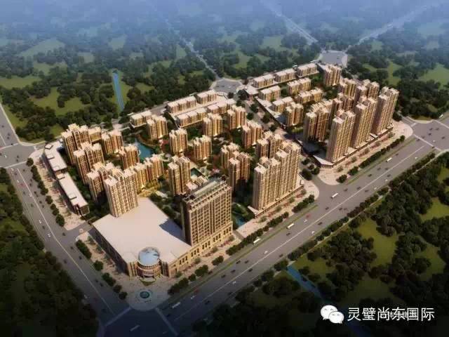 她为什么这样火？——解析尚东国际房展会“围攻”现象(图10)