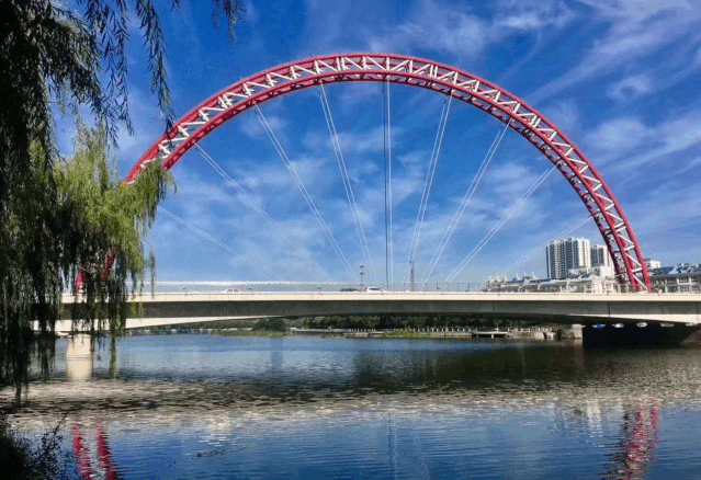 未来十年，高端置业成趋势，三大关键成定律(图11)