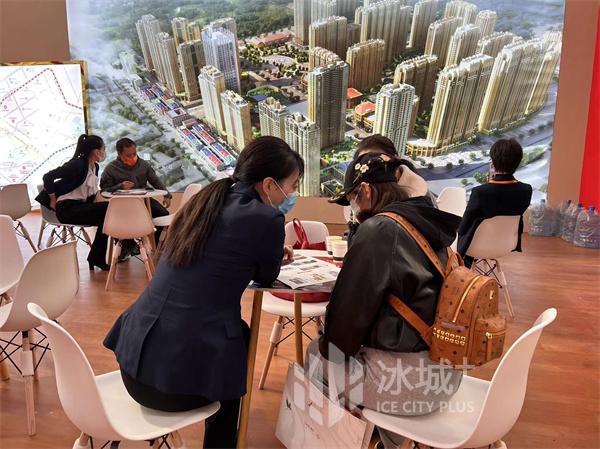 房展会首日售房420套预计发放购房补贴29万元(图5)