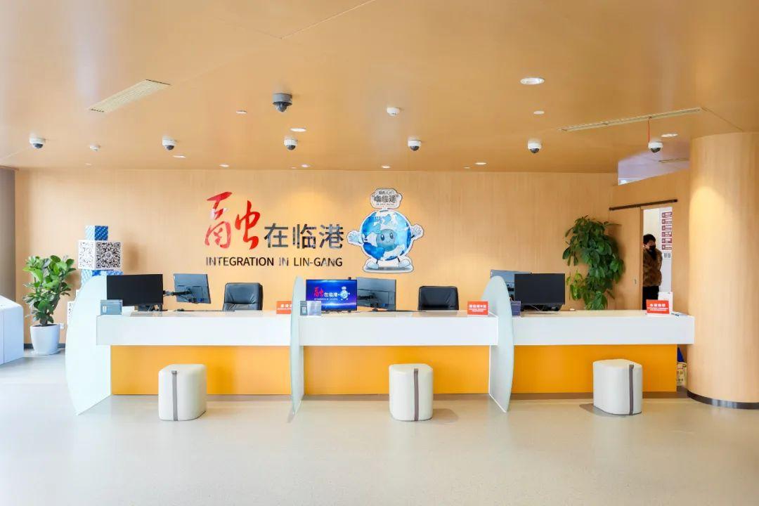 【提示】临港新片区移民事务服务中心正式启动运行(图4)