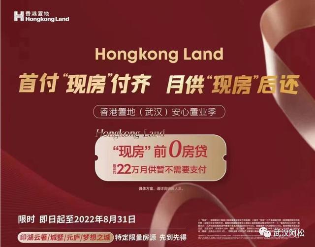 当今武汉开发商卖房的骚操作(图14)