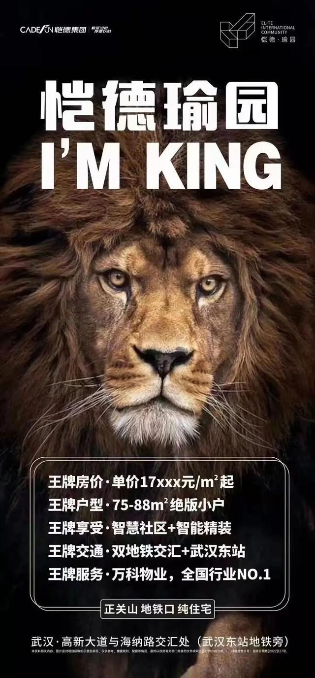 当今武汉开发商卖房的骚操作(图20)