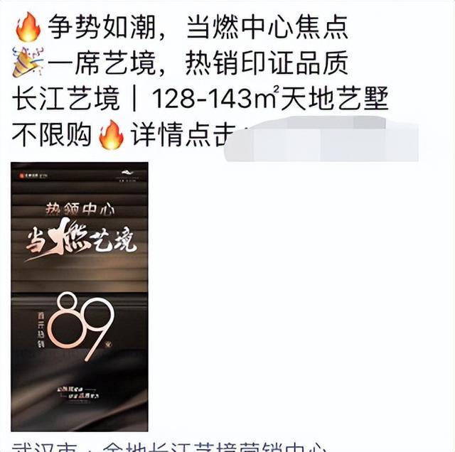 当今武汉开发商卖房的骚操作(图19)