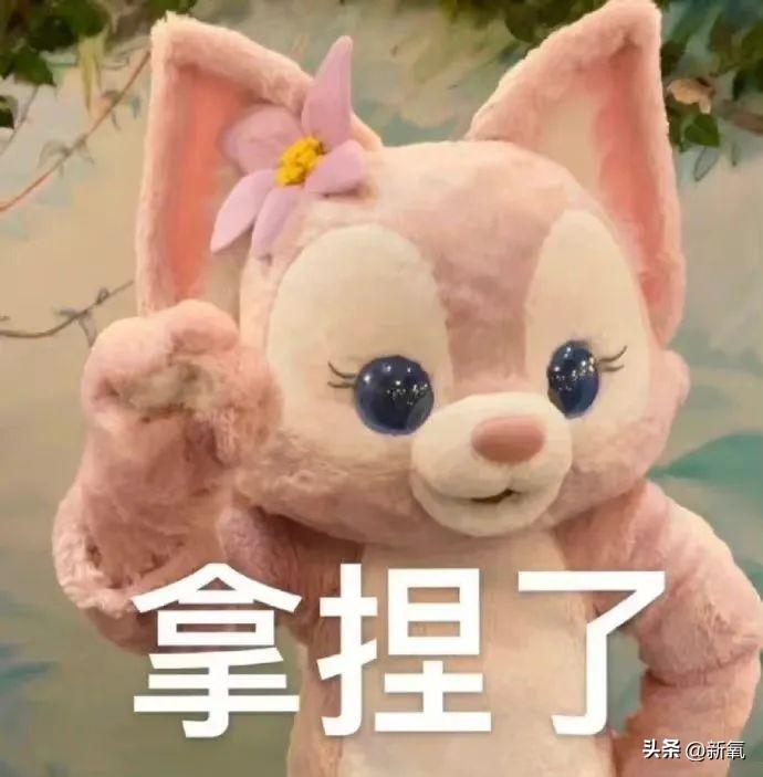 卷走1.5亿！日消80万的房产圈美女总裁，到底是什么来头？(图12)